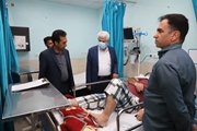 رئیس کمیسیون بهداشت و درمان مجلس شورای اسلامی در قیر و کارزین: اهمیت ایجاد زمینه های ماندگاری پزشکان در مناطق محروم کشور