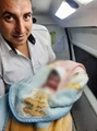 تولد نوزاد عجول در دستان تکنسین اورژانس 115 شهرستان قیروکارزین